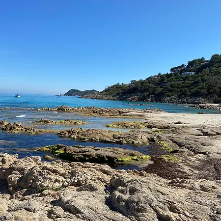 Port Kemp 5*